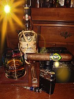 CAO Brazilia.jpg