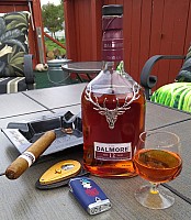 Kristoff Dalmore Kitten (Prince).jpg